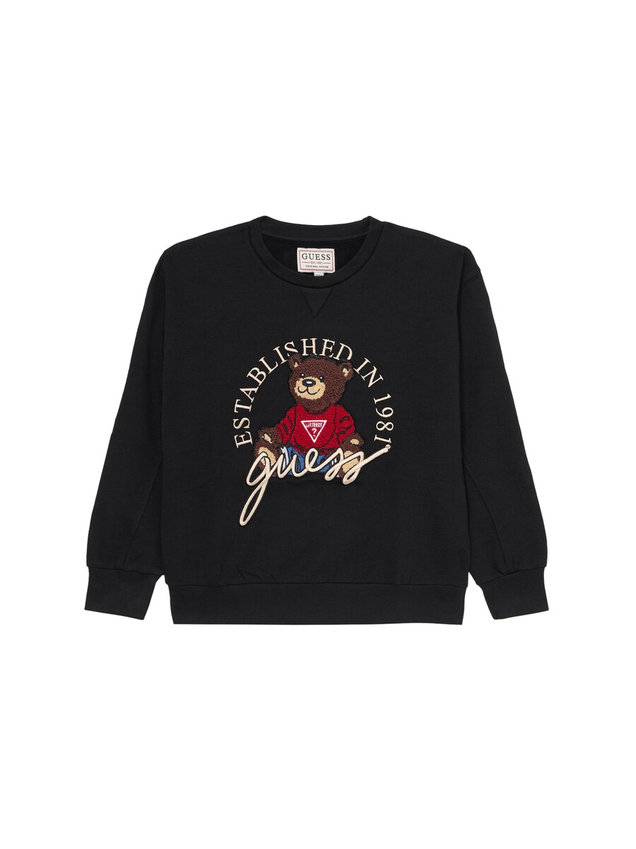 

Толстовка GUESS, Black