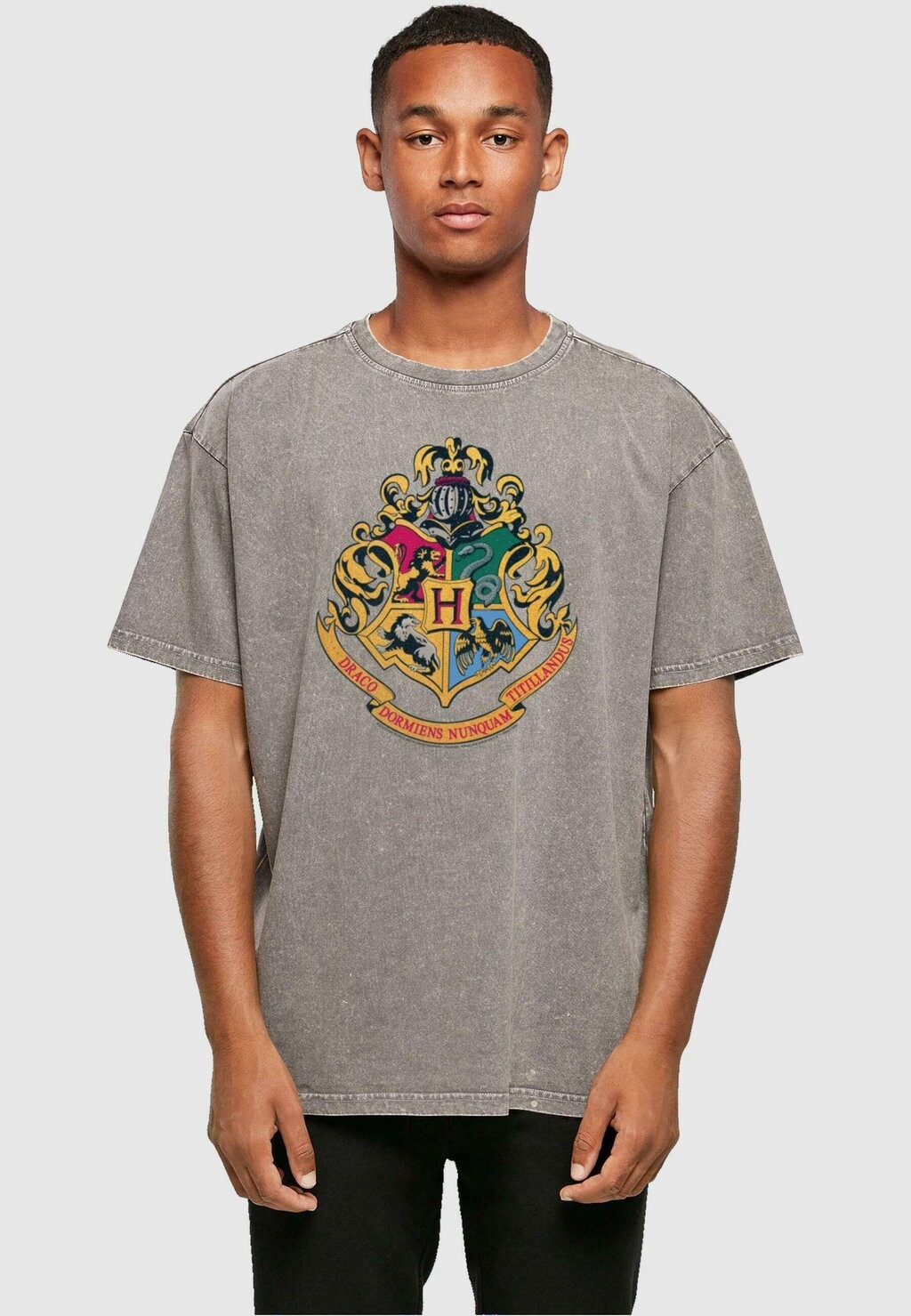

Футболка с принтом HARRY POTTER HOGWARTS CREST ACID WAS ABSOLUTE CULT, серый