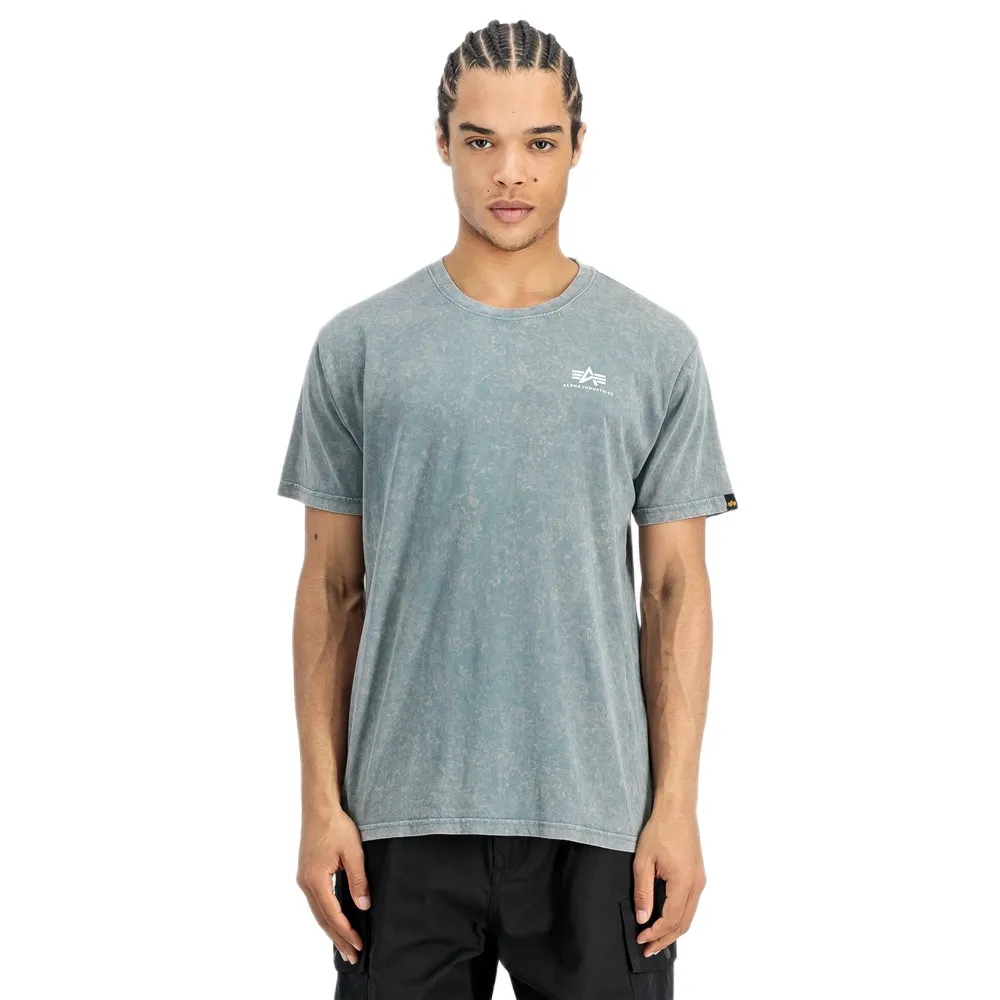 

Футболка Alpha Industries с коротким рукавом и винтажным принтом на спине, серый