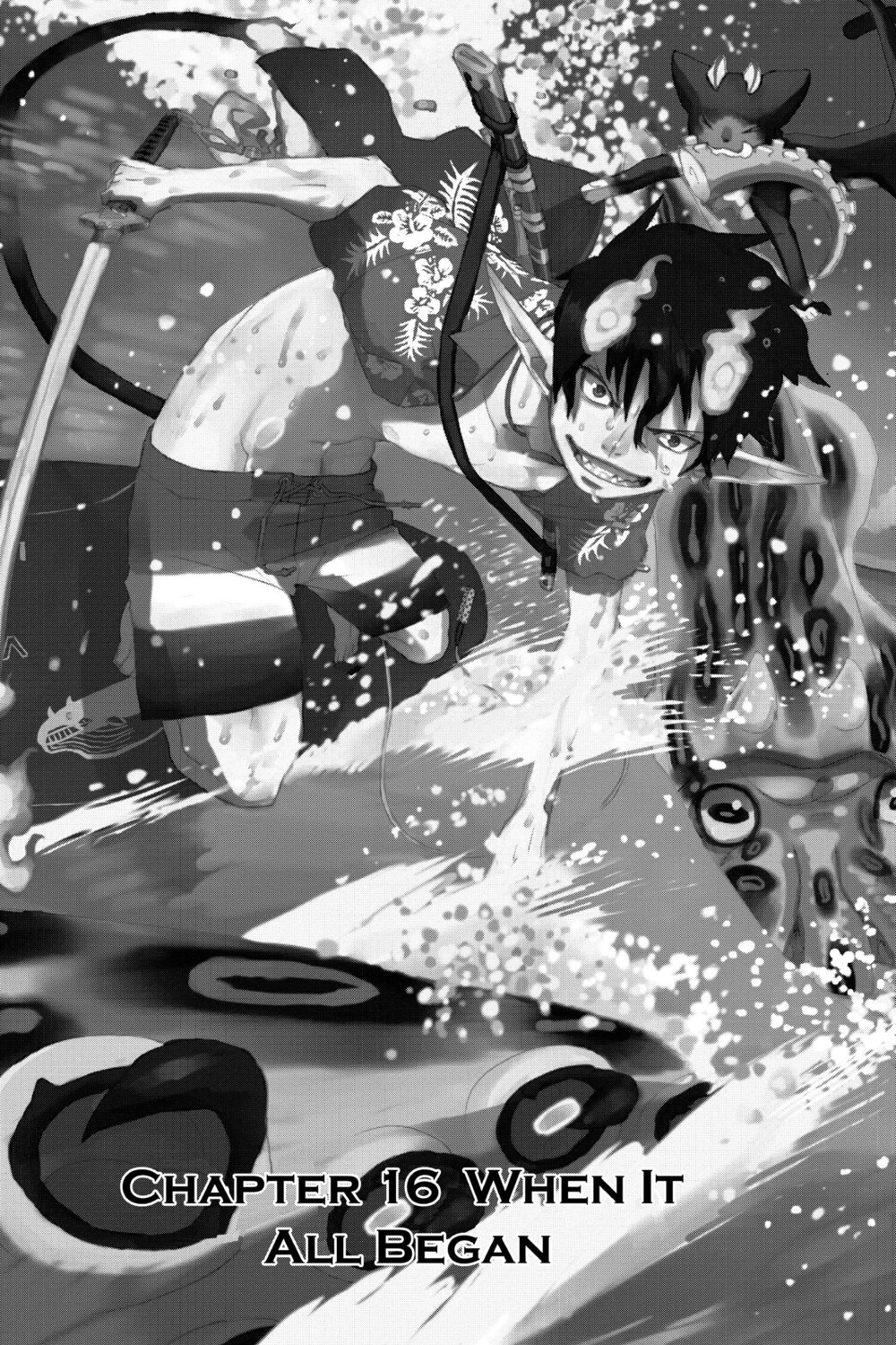 

Манга Blue Exorcist Manga Volume 5