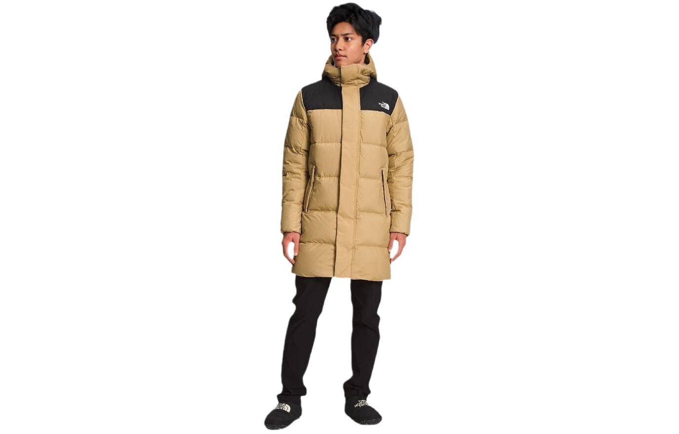 

THE NORTH FACE Мужская куртка, цвет Brown