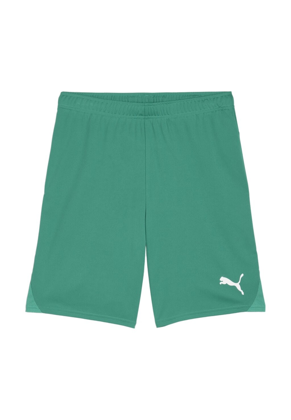 

Спортивные шорты TEAMGOAL Puma, цвет gruenweiss