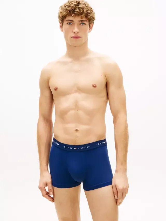Трусы с логотипом на поясе, комплект из 3 штук, синие/разноцветные Tommy Hilfiger — фото 2