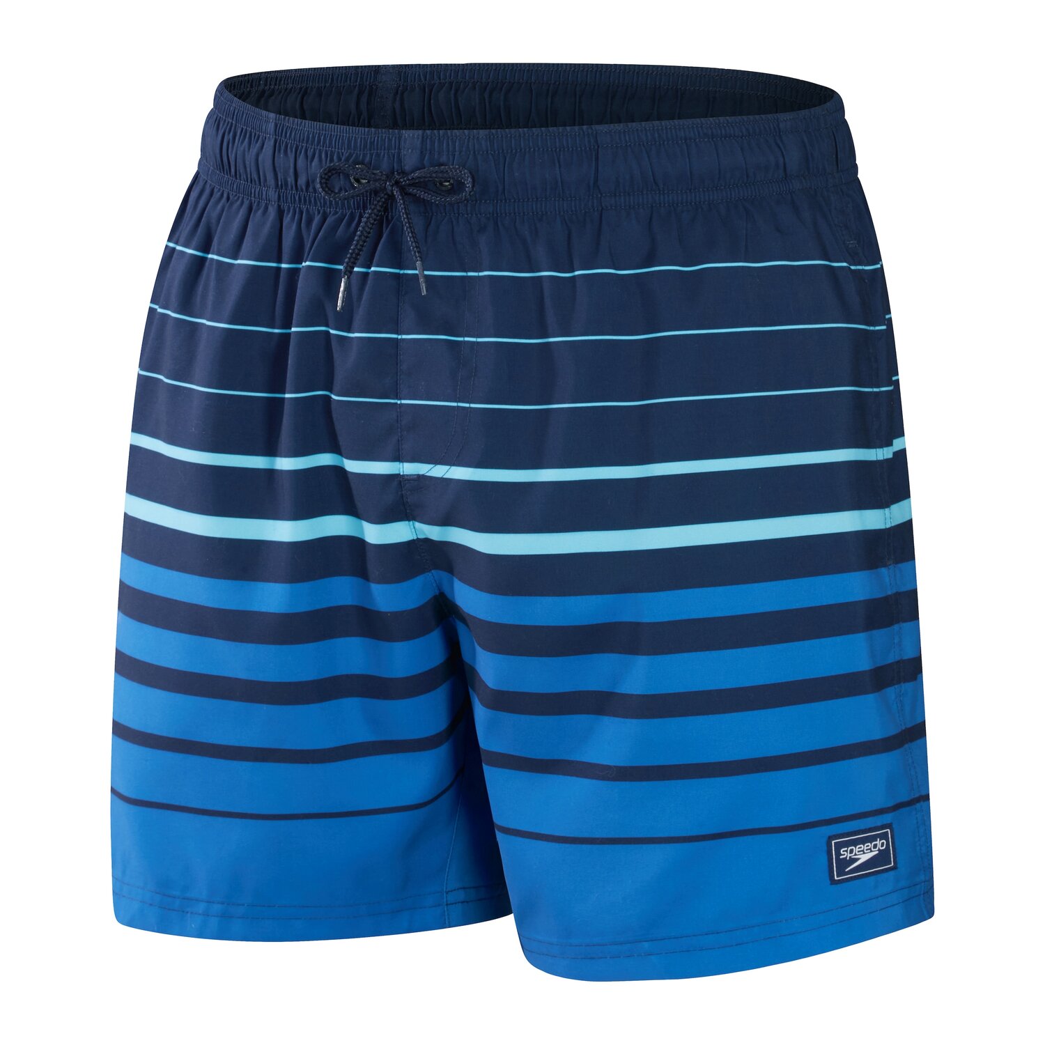 

SPEEDO Шорты Board Shorts в цветах Blue, Marine Blue, Cyan Blue, Синий, SPEEDO Шорты Board Shorts в цветах Blue, Marine Blue, Cyan Blue