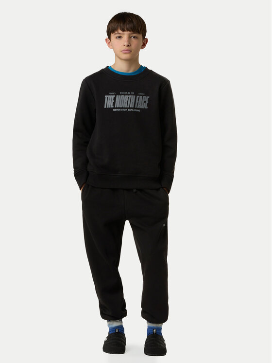 Спортивные брюки relaxed fit NF0A8EAU The North Face, черный — фото 2