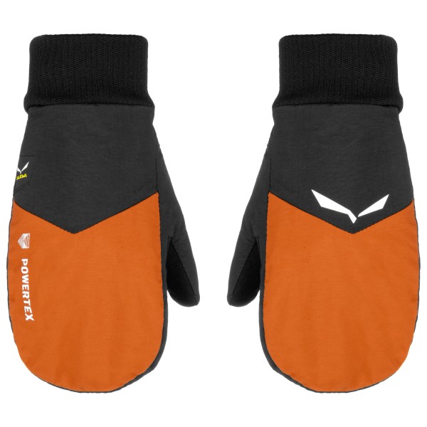 

Детские варежки ptx/twr - перчатки Salewa, мультиколор