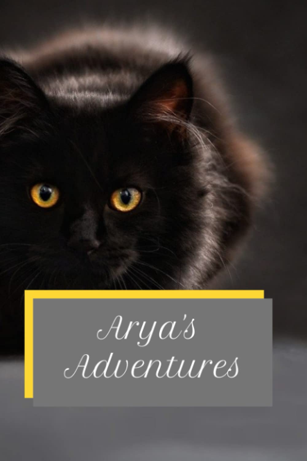 

Arya's Adventures (Independently published)