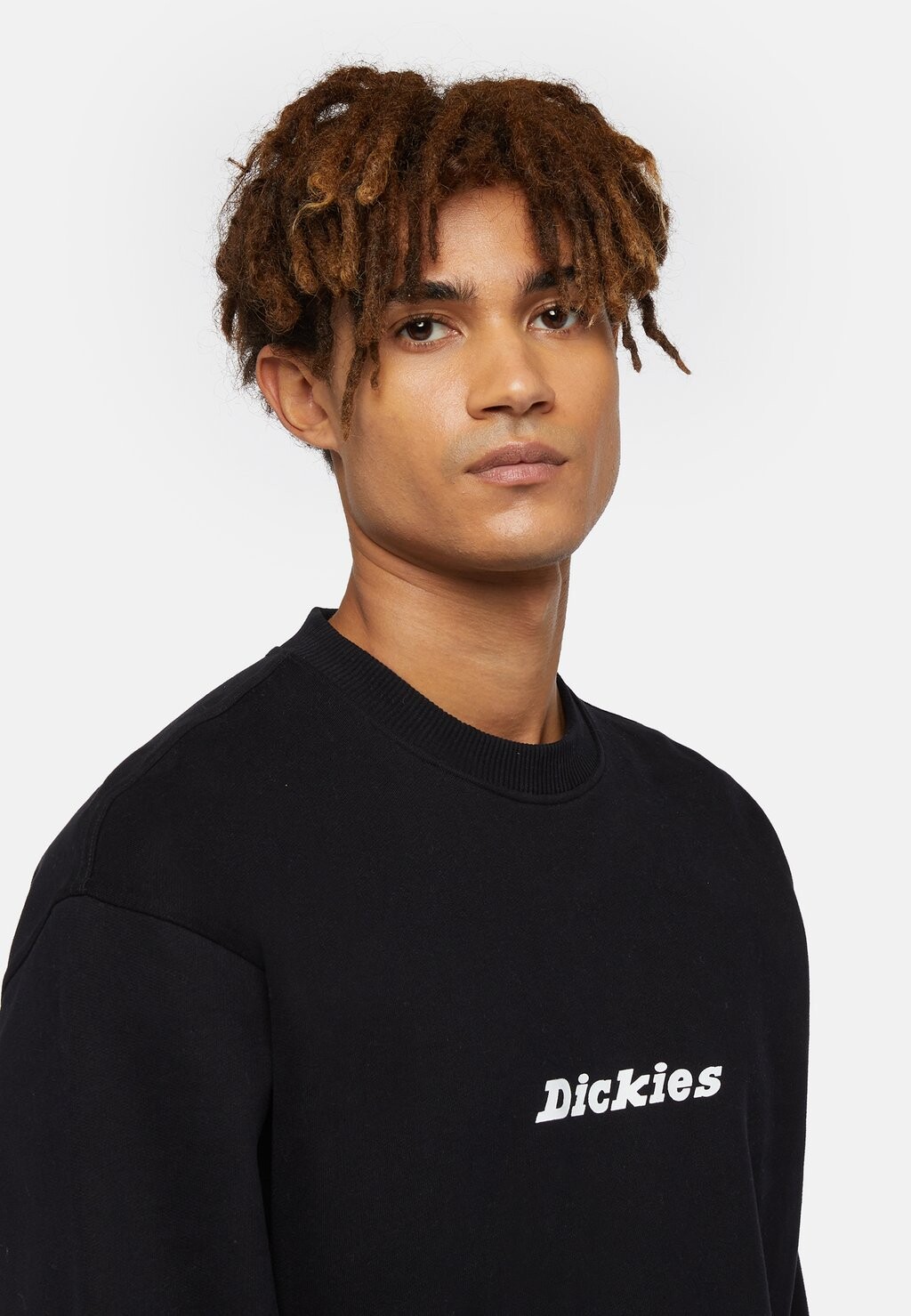 

Толстовка с капюшоном ENTERPRISE Dickies, черный