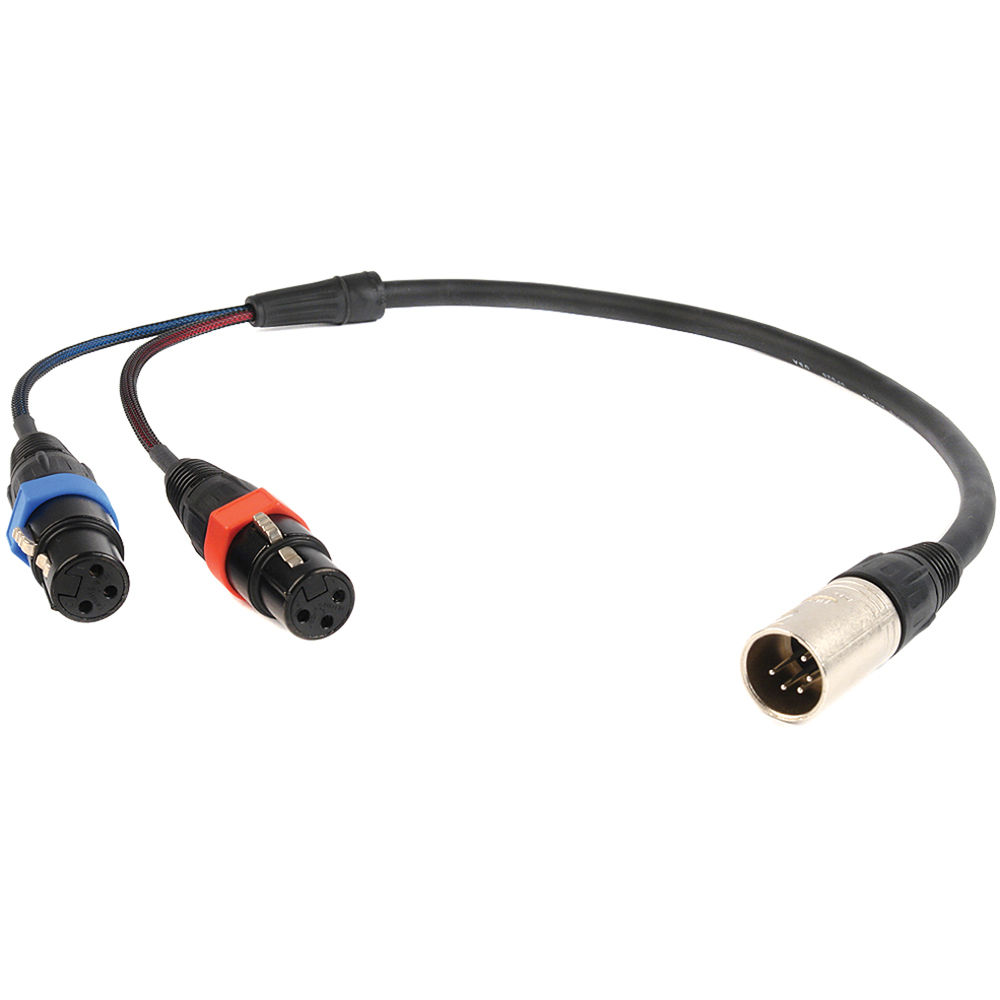

Remote Audio CAXSTEX5M 5-Pin XLR Male to Dual 3-Pin XLR