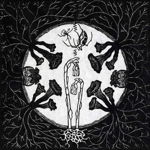 

Виниловая пластинка Magic Tuber Stringband: Tarantism
