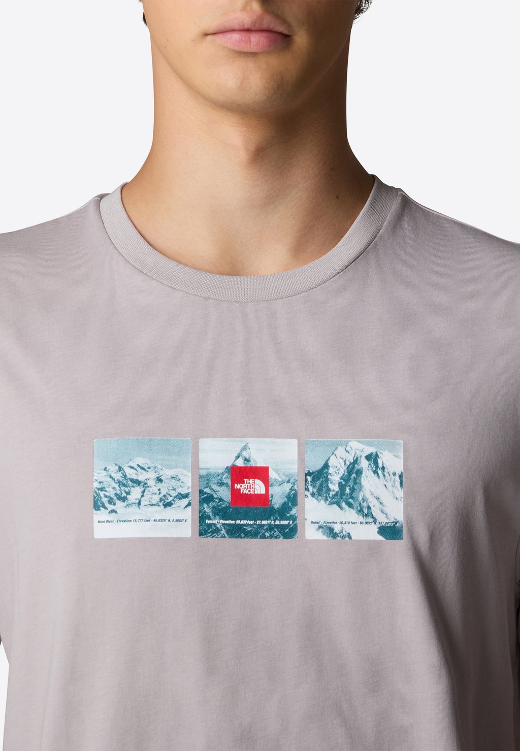 

Футболка с принтом The North Face, серый