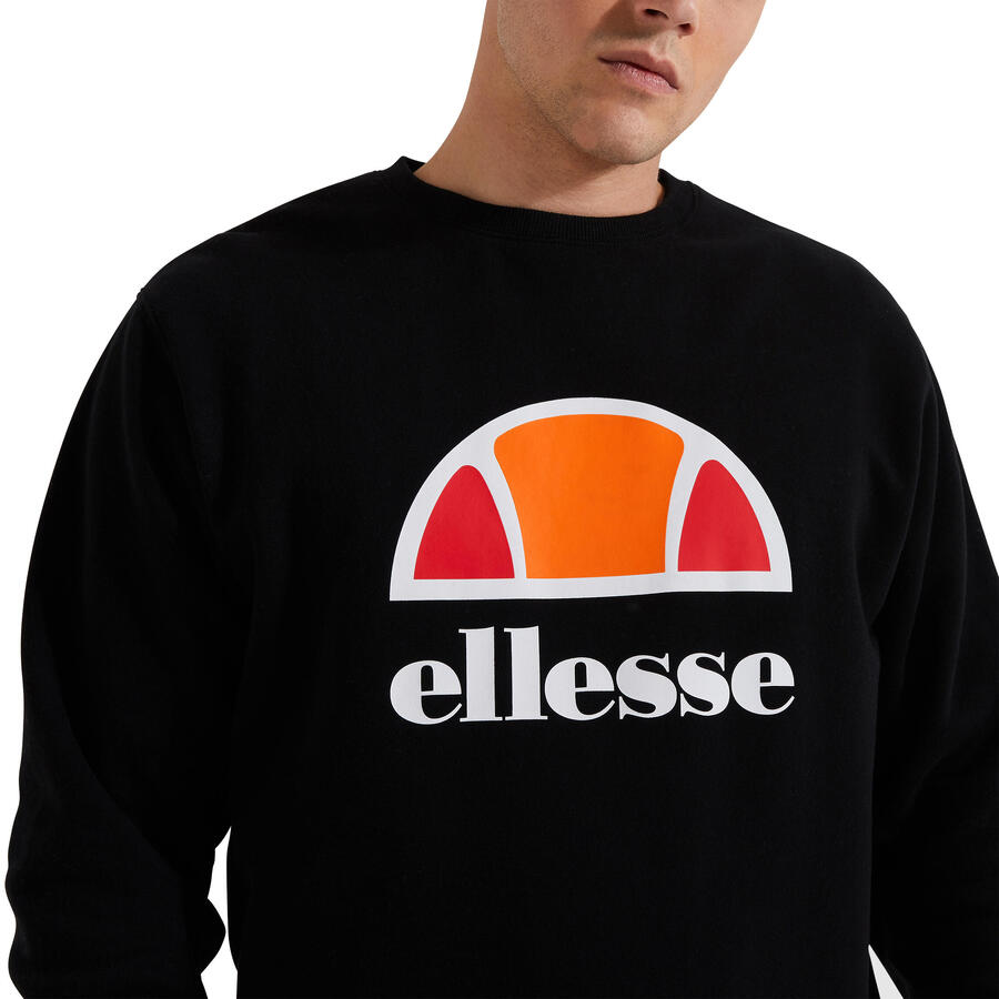 

Мужская толстовка Ellesse PERC SXG12638, черная