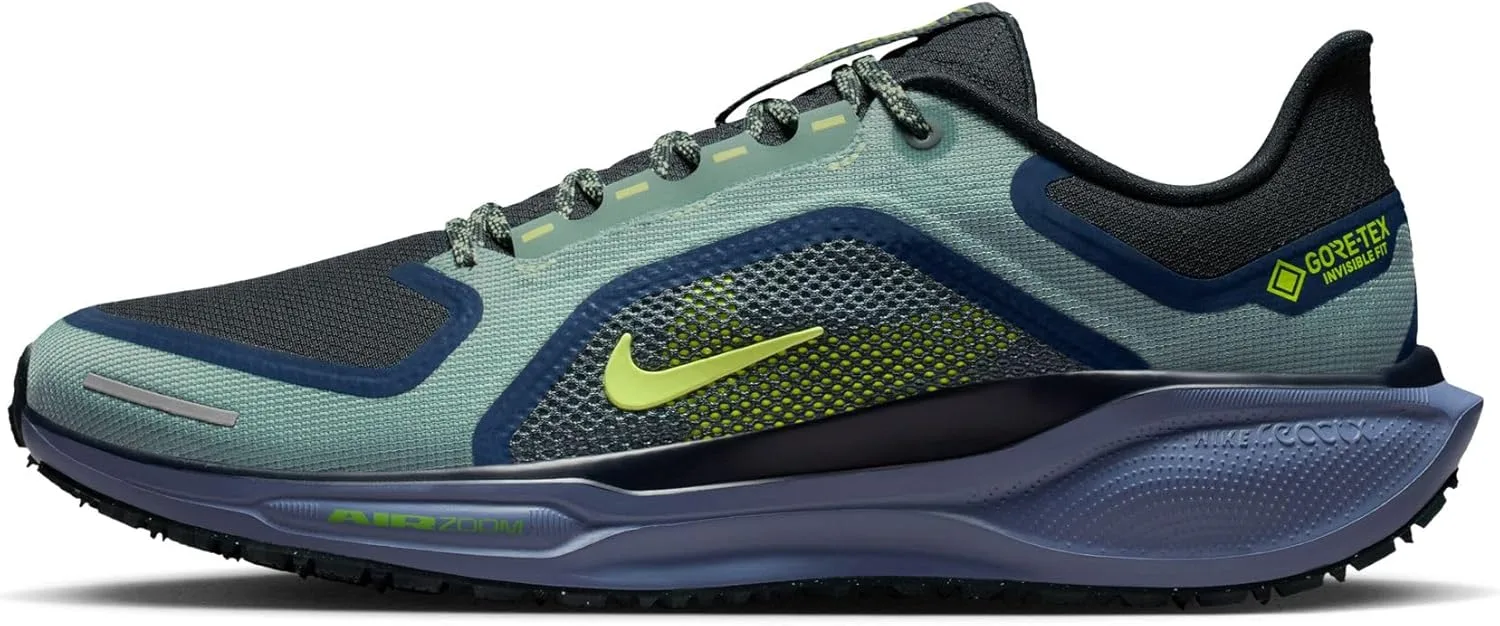 Кроссовки Nike Pegasus 41 Gore-Tex для бега мужчин