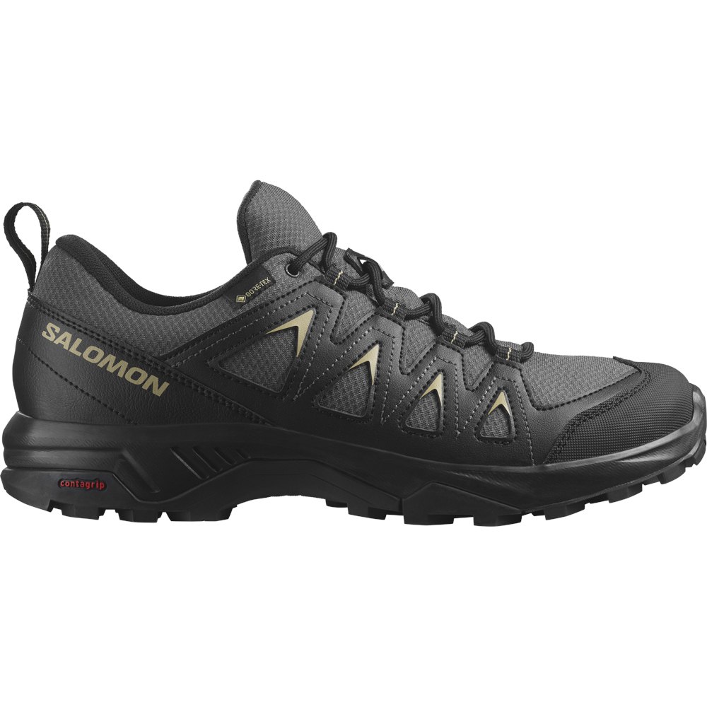 

Походная обувь Salomon X Braze Goretex, черный