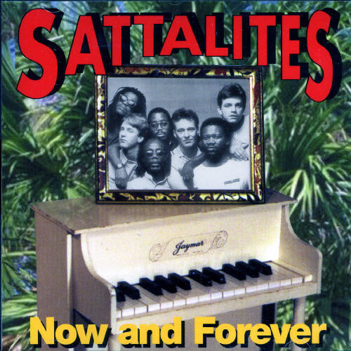 

CD диск Sattalites: Now & Forever