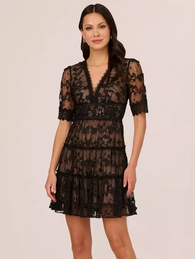 

Платье Adrianna Papell Lace Embroidery Mini, цвет black/nude