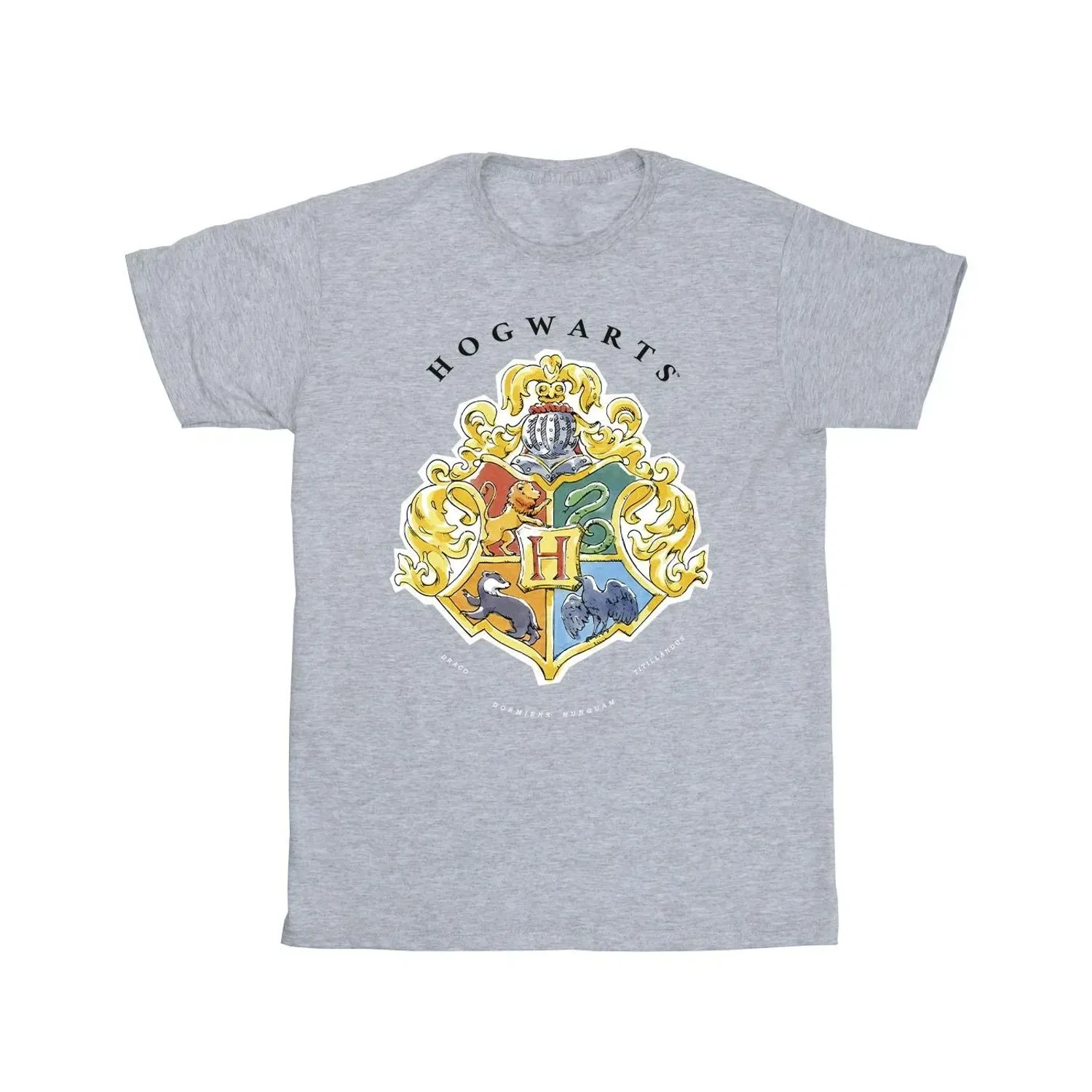 Футболка с эмблемой Хогвартса Harry Potter, серый — фото 2