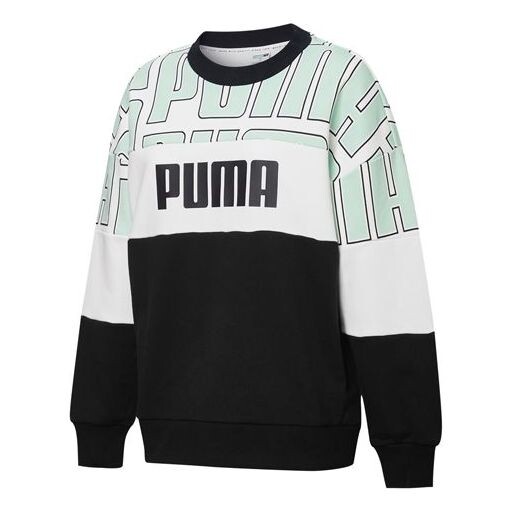 

Свитер colourblock aop sweatshirt 'black green white' Puma, черный
