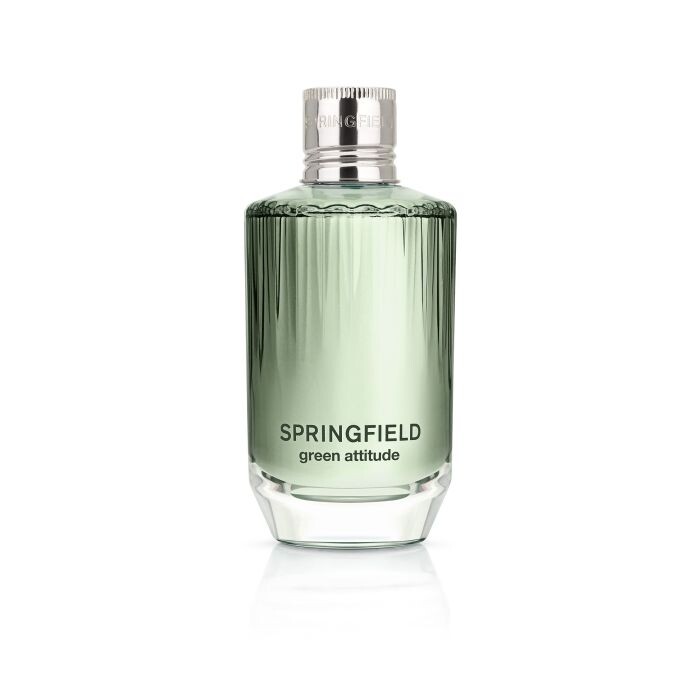 

Мужская туалетная вода Green Attitude EDC Springfield, 100