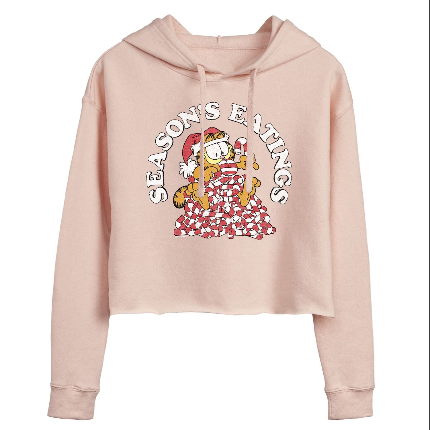 

Укороченная толстовка с рисунком Garfield "Seasons Eatings" для юниоров Candycane Licensed Character