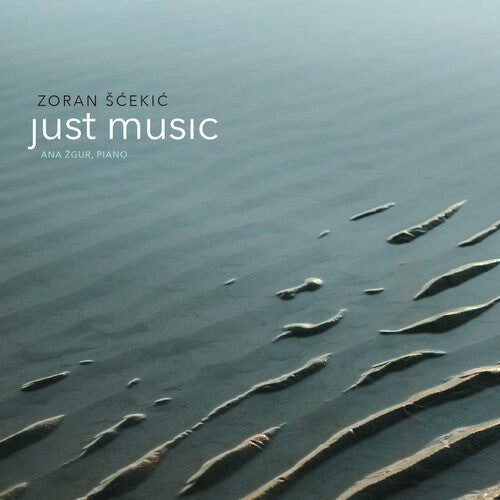 

CD диск Scekic / Zgur / Scekic: Scekic: Just Music