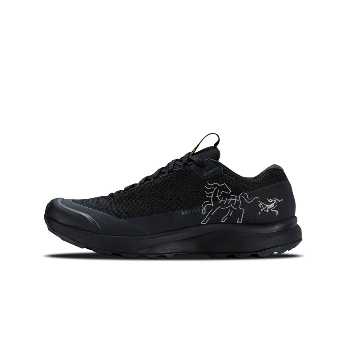 AERIOS FL GTX низкие кроссовки для бега мужские Arcteryx, черный-shopping bag — фото 3