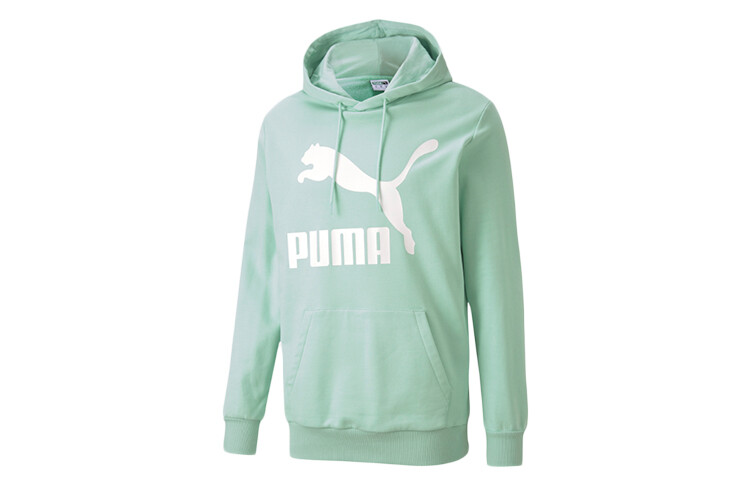 

Толстовка мужская Verdant Green Puma, зеленый