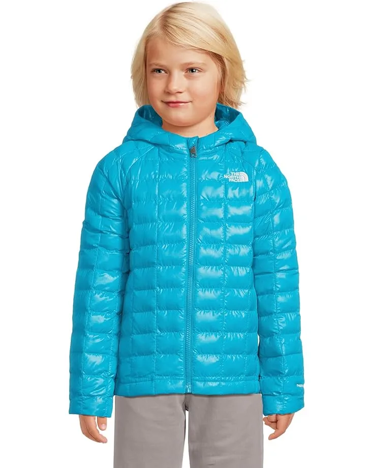 Куртка The North Face Kids ThermoBall Hooded Jacket (Toddler), Meridian Blue