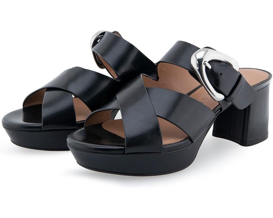 

Туфли Aerosoles Collin, цвет Black Leather