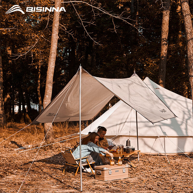 

Аксессуары для уличного кронштейна BSWolf, расширенный навес, фиксированный столб, опорная стойка для палатки для кемпинга, фойе, 2,4 метра (4 секции, 2 стойки)