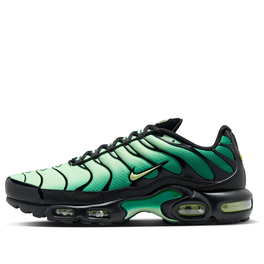 

Кроссовки Nike Air Max Plus 'Vapor Green Malachite Black', зеленый