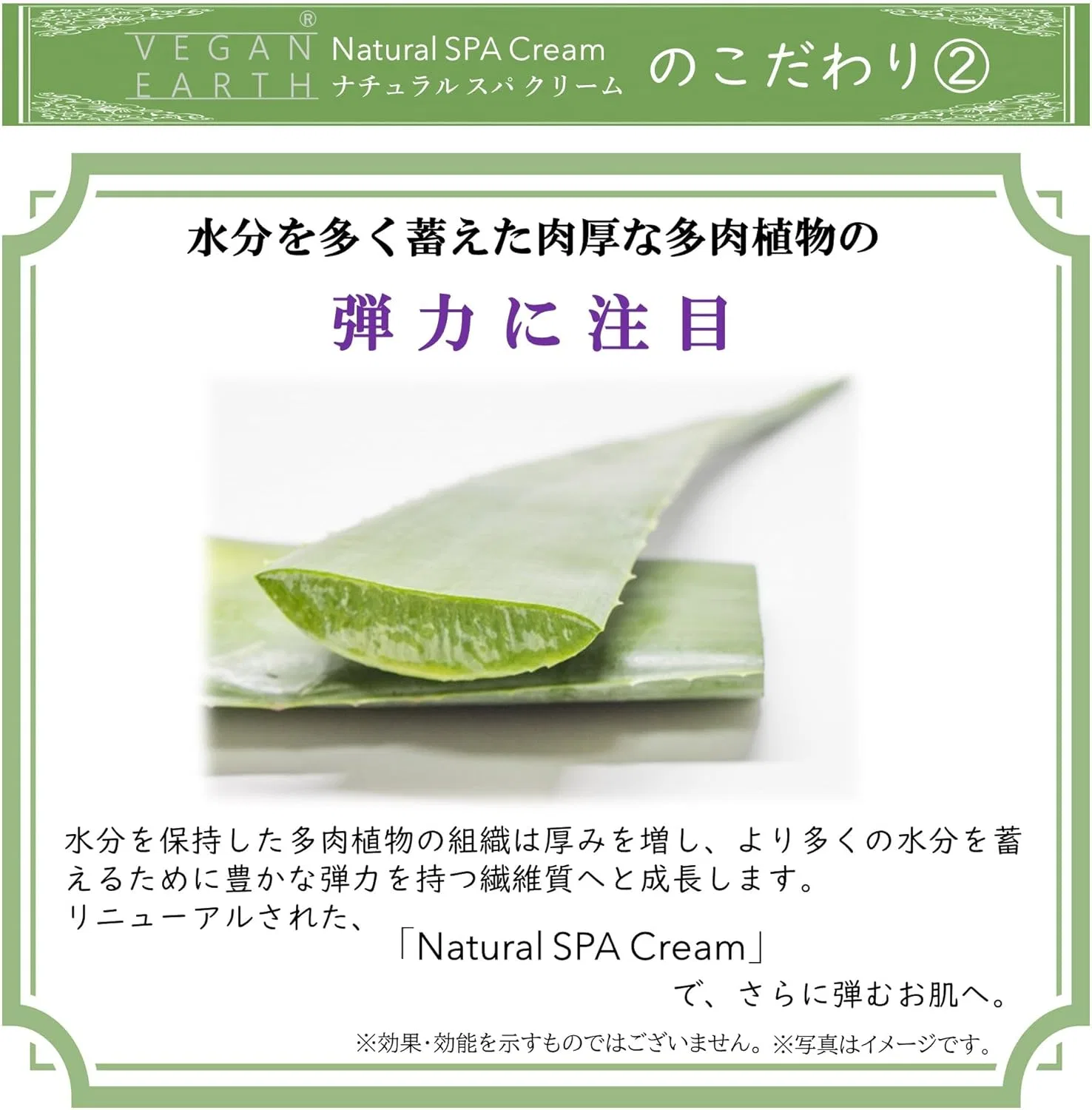 Крем для лица Vegan Earth — Дневной Natural SPA Cream, 40 г — фото 4