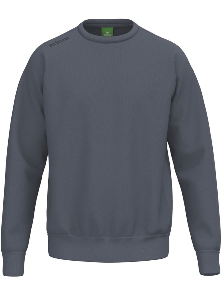 

Толстовка Ts Sweatshirt erima, серый