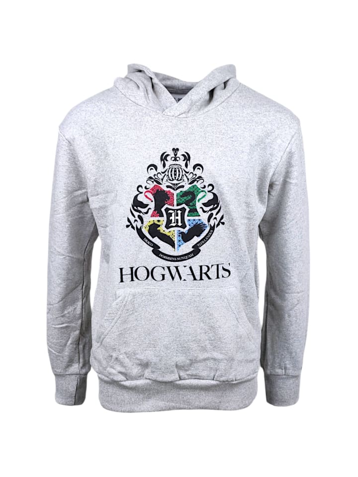 

Толстовка с капюшоном Harry Potter, серый
