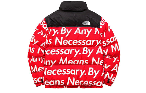 Куртка fw15 x the north face by any means nuptse jacket 'red' Supreme, красный — фото 2