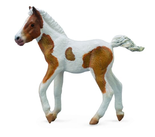 

Коллекта, жеребенок Дартмур-Хилл-Бэй М. Collecta