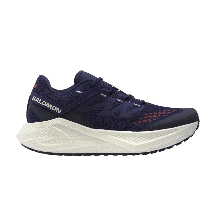 

Кроссовки Salomon Aero Glide 3 GRVL, Astral Aura