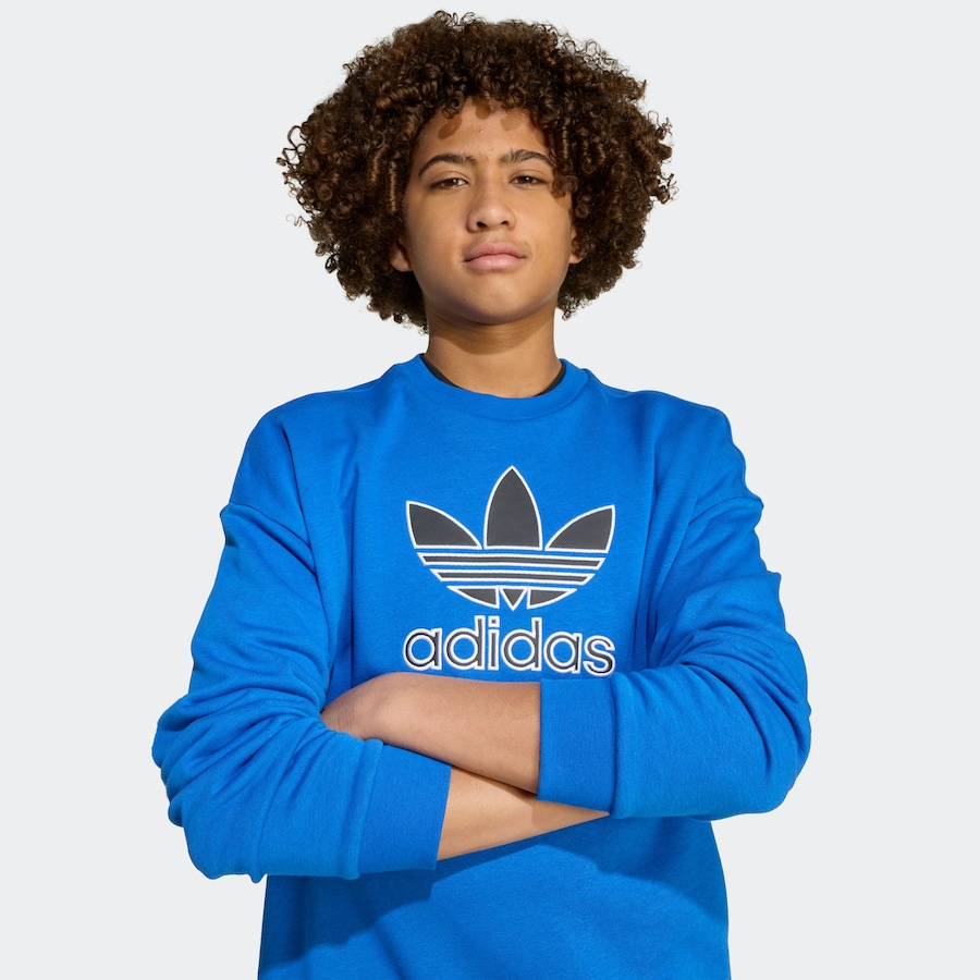 

Толстовка ADIDAS ORIGINALS, светло-голубой
