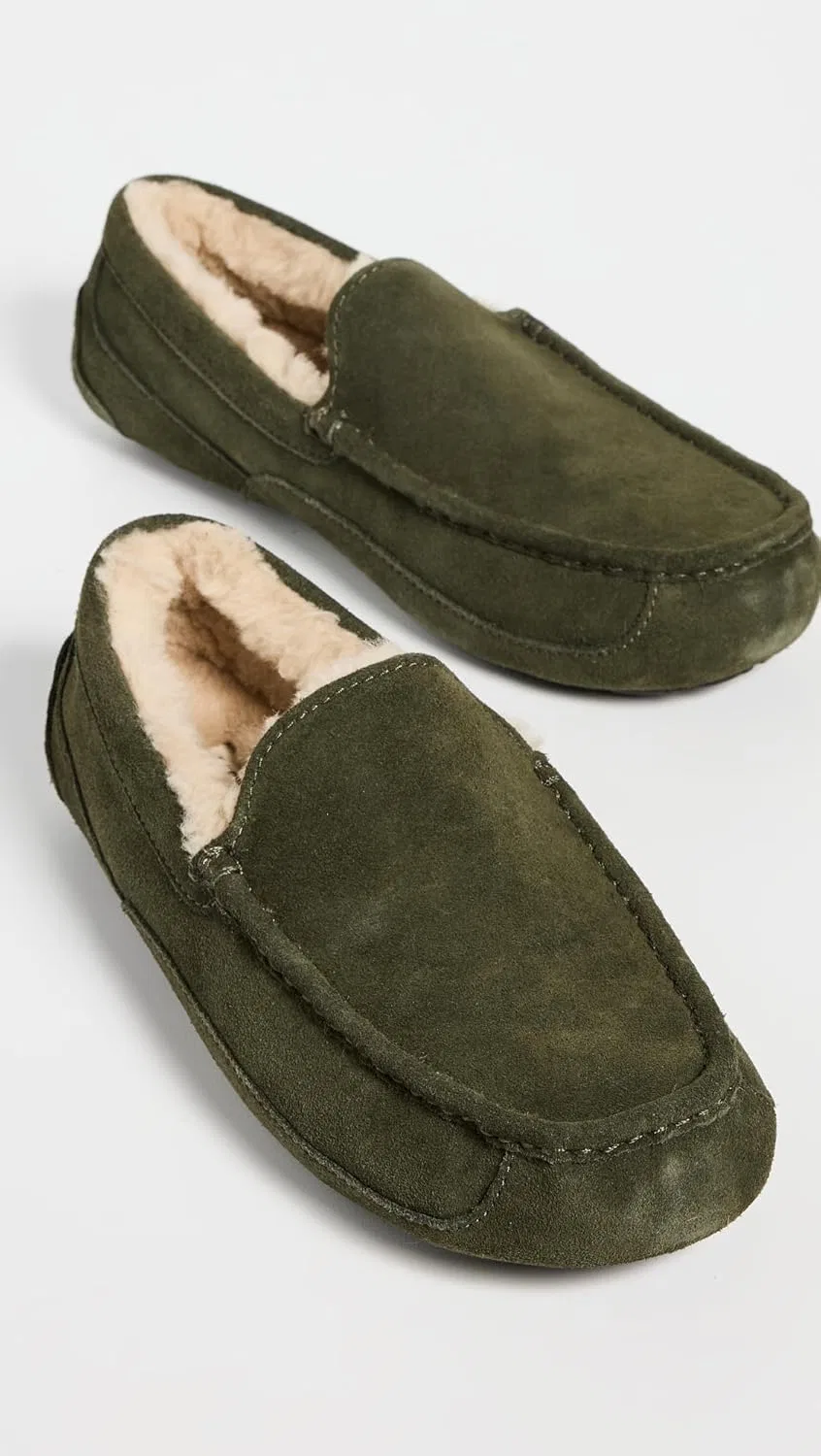 Тапочки мужские UGG Ascot, лесная ночь — фото 4