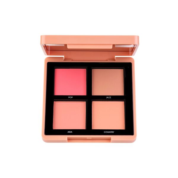 

Палитра румян 002, 8 г Topface Maestro