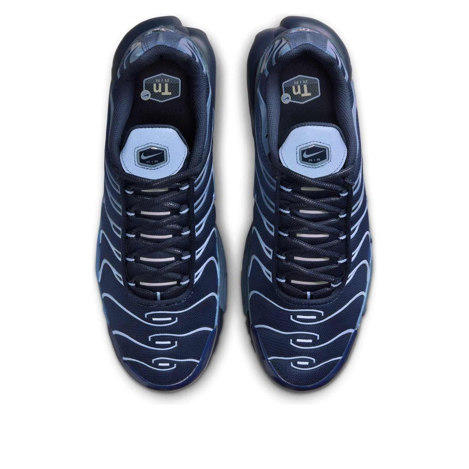 Кроссовки Nike Air Max Plus 'Obsidian Aluminum' — фото 2