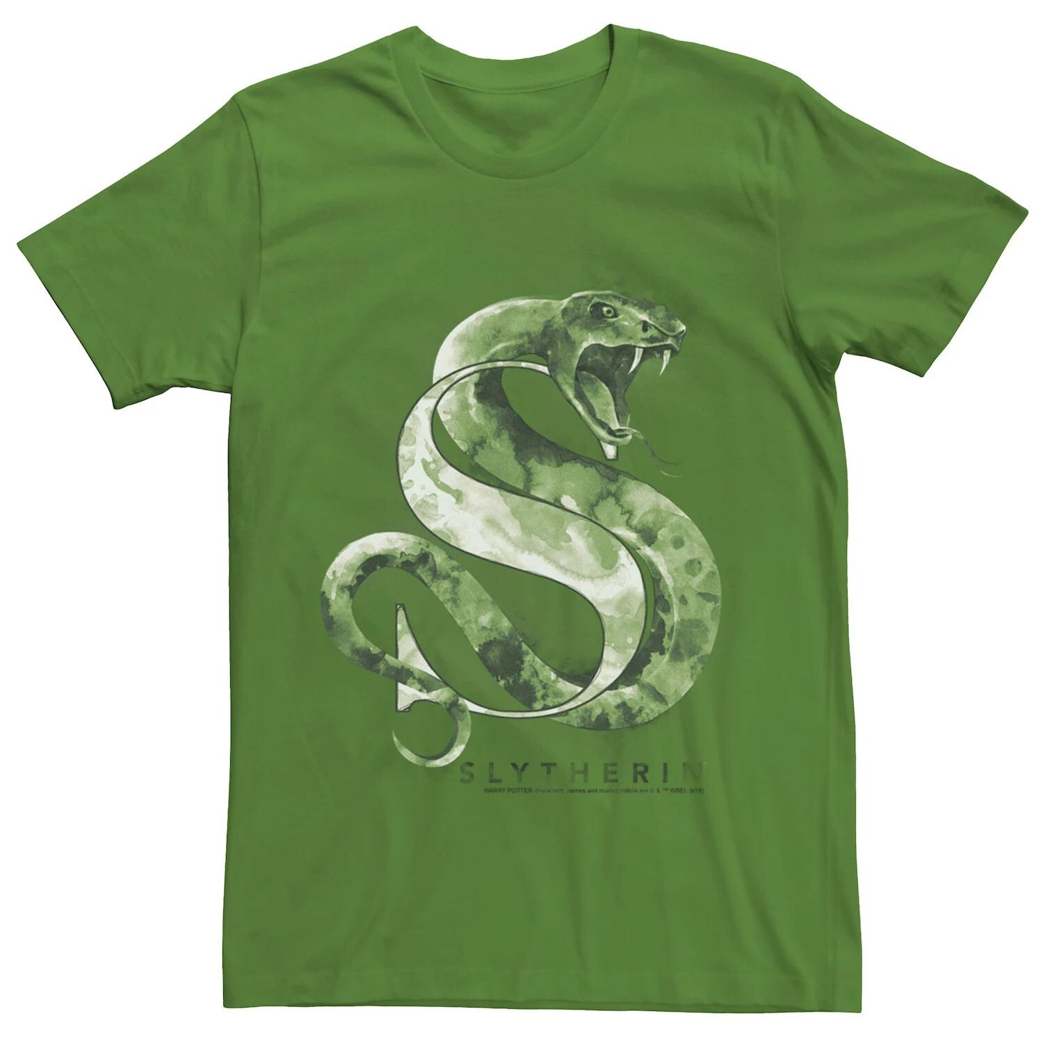 

Мужская акварельная футболка Harry Potter Slytherin House Licensed Character