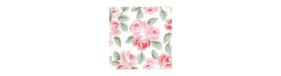 Комплект из 3 мягких хлопковых боди на каждый день Hudson Baby, Coral Floral Daddys Girl — фото 3
