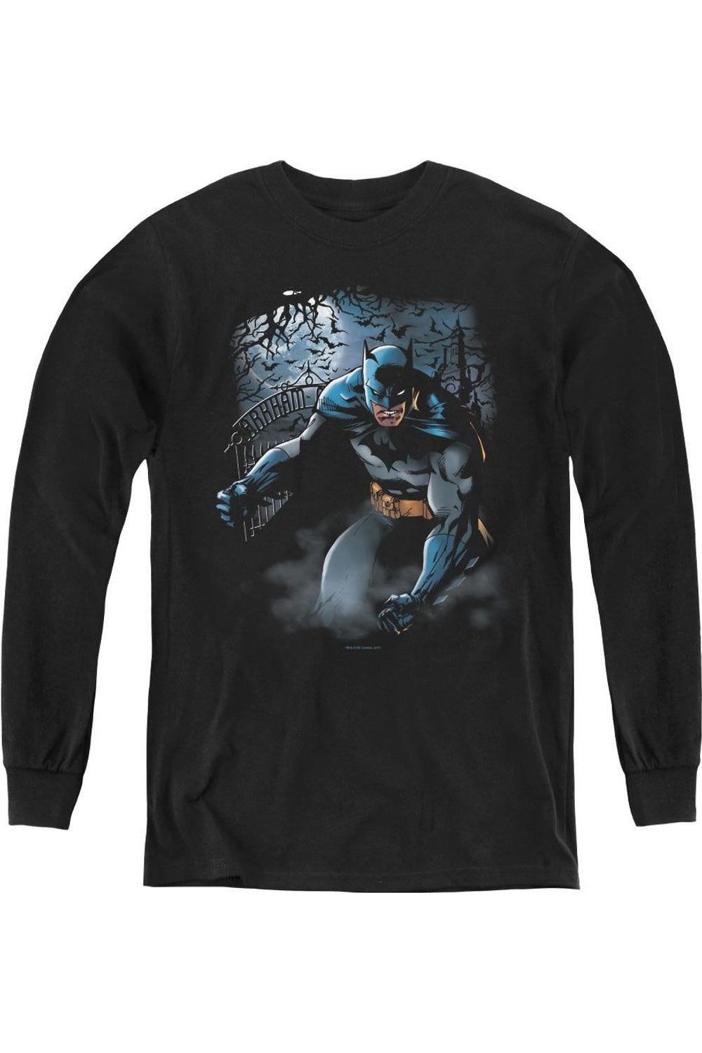 

Футболка с длинным рукавом для детей Batman "Свет Луны" Gildan, черный