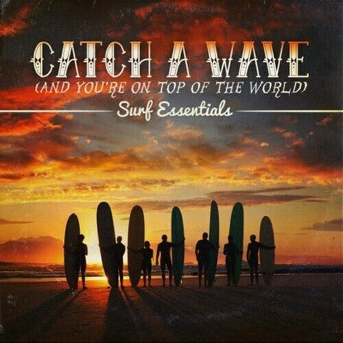 

CD диск Catch a Wave / Var: Catch a Wave / Various