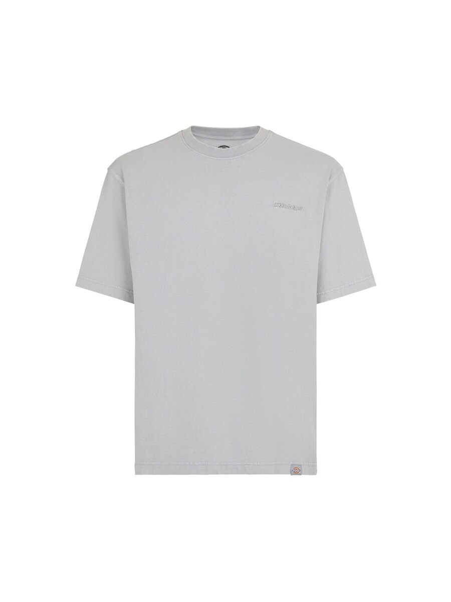 

Спортивная футболка DICKIES PLENTYWOOD, серый