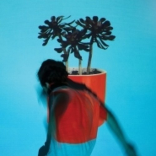 

Виниловая пластинка Local Natives: Sunlit Youth