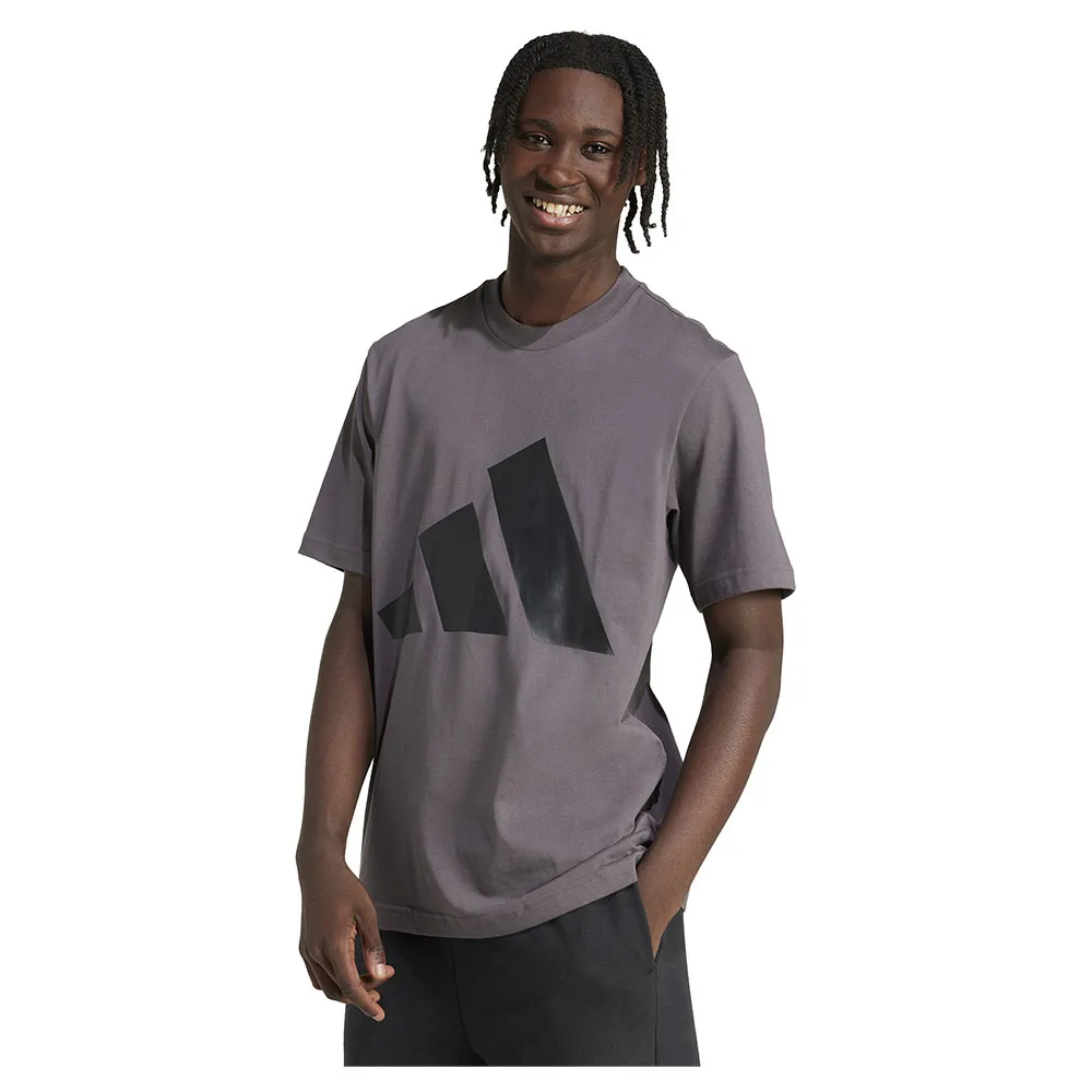 

Футболка с коротким рукавом adidas Essentials Big Logo, серый