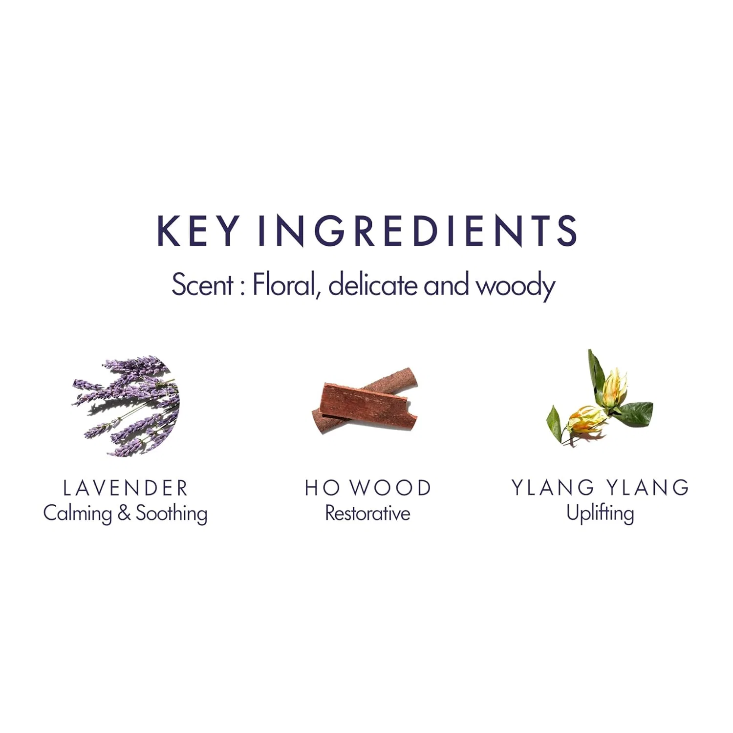 Увлажняющее средство для рук и тела Replenishing от Aromatherapy Associates Aromatherapy Associates — фото 3