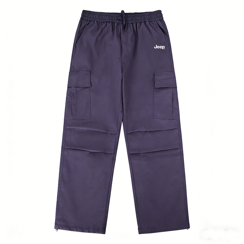 

Повседневные брюки унисекс Moderate Cargo Pants Jeep, фиолетовый